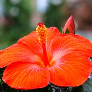 Meet your Posher, Marwa